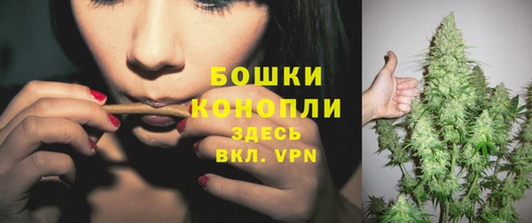 PSILOCYBIN Кодинск
