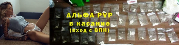 PSILOCYBIN Кодинск
