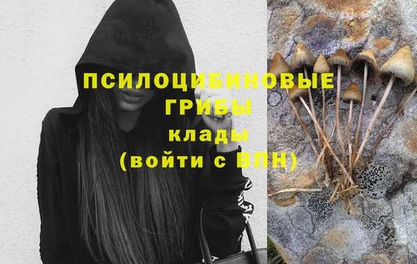 мдма Козельск