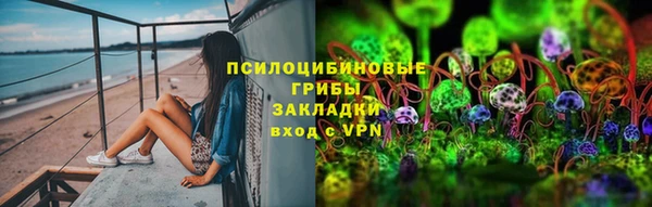 PSILOCYBIN Кодинск